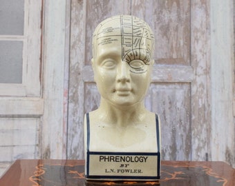 Head Phrenology Porcelain - Porcelain Figure - Medicine Statue - Phrenology Figure - Vintage Porcelain - Pharmacy Decor