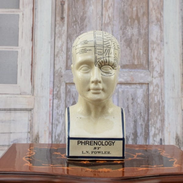 Head Phrenology Porcelain - Porcelain Figure - Medicine Statue - Phrenology Figure - Vintage Porcelain - Pharmacy Decor