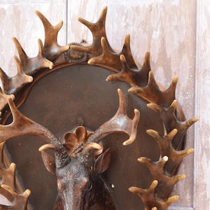 Resin Deer Head Wall Mount - Hunting Trophy - Rustic Home Decor - Unique Wildlife Sculpture - Ideal Gift for Hunters & Nature Lovers