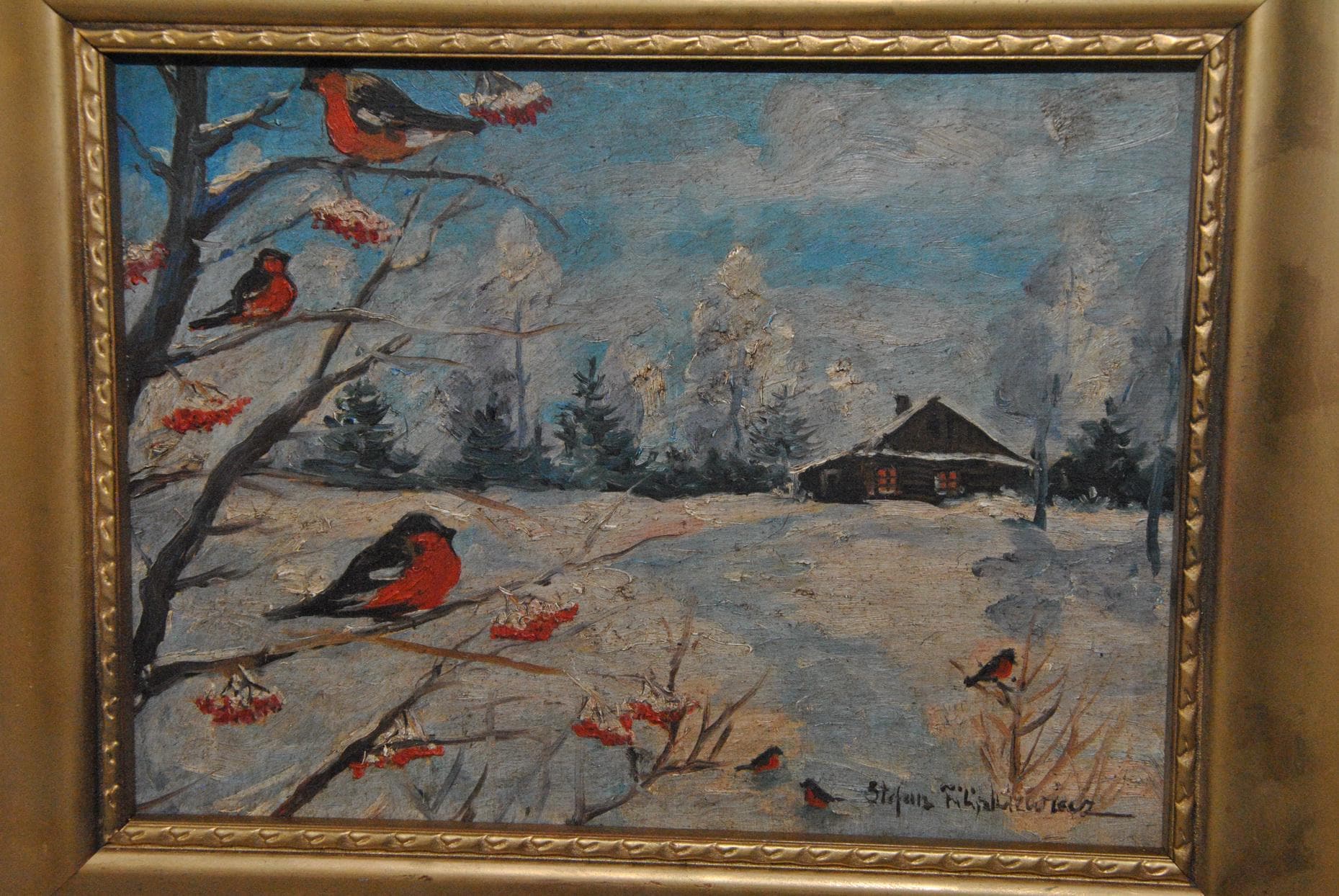 gallery photo