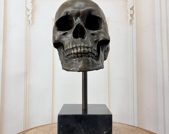 Memento Mori Bronze Sculpture – Skeleton Head Statue on Marble Base