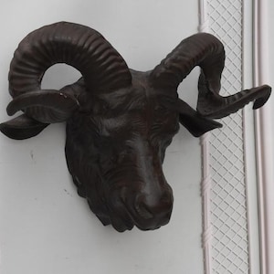 Könnte beinhalten: Dunkelbraune Widderkopf-Skulptur mit großen, gebogenen Hörnern und detaillierten Gesichtsmerkmalen. Auf einer weißen Oberfläche mit dekorativem Muster montiert.