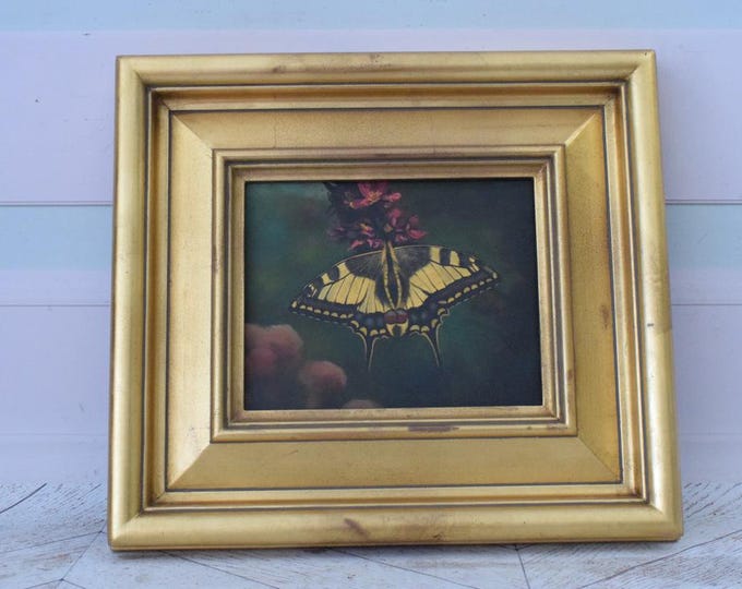 Wonderful Large Painting Butterfly - Painting in Golden Frame - Painting Art Work - Wall Decor - Butterfly Art- Amazing Home Decor