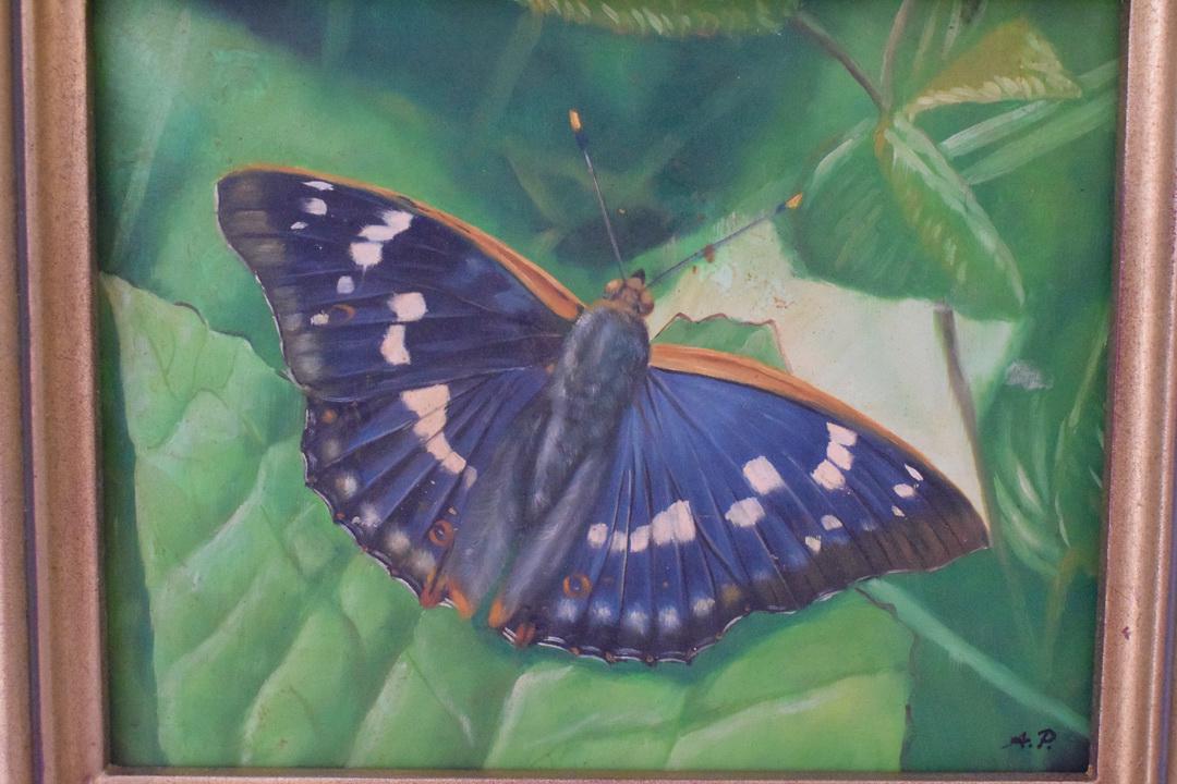 gallery photo