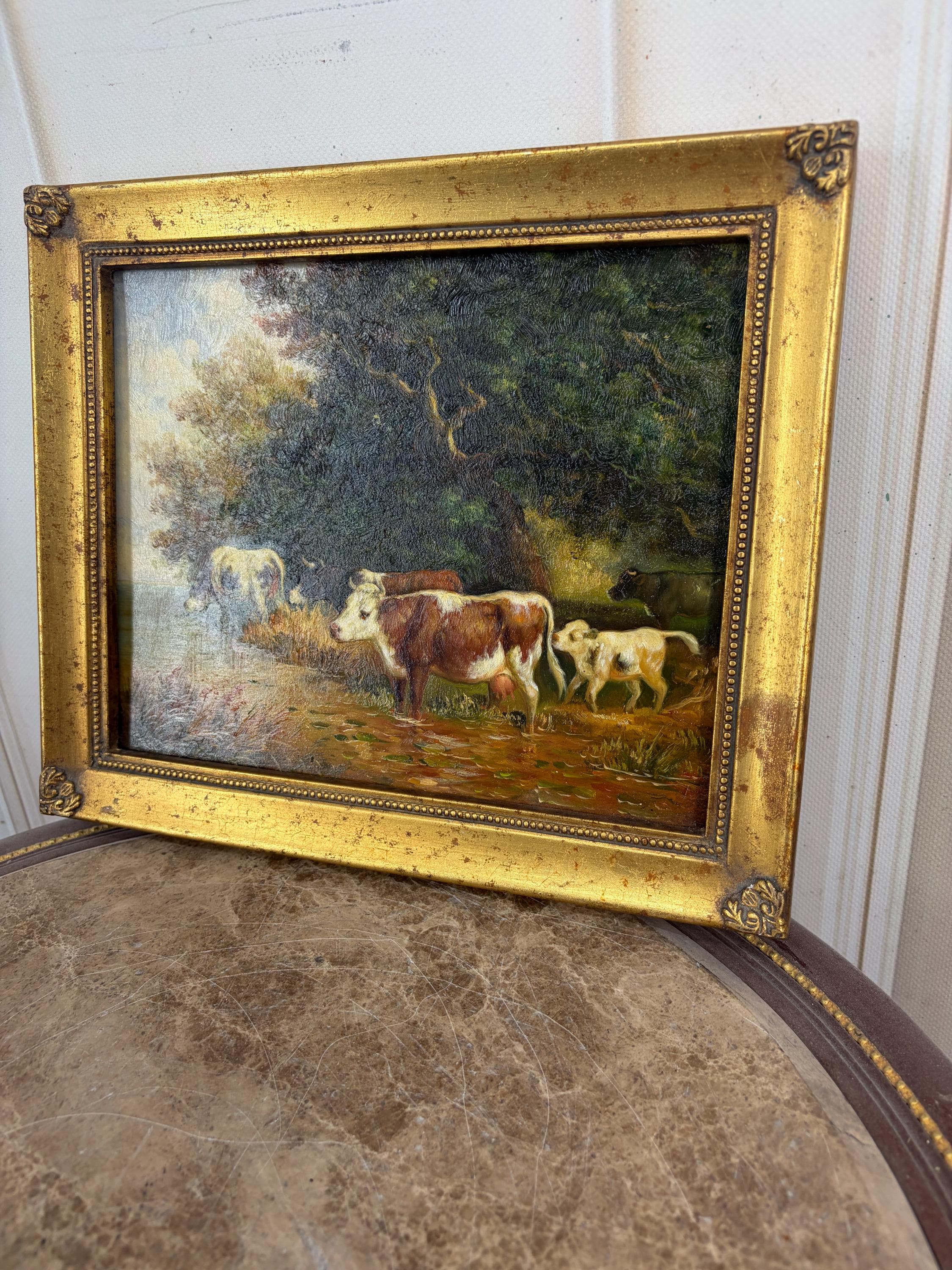 gallery photo