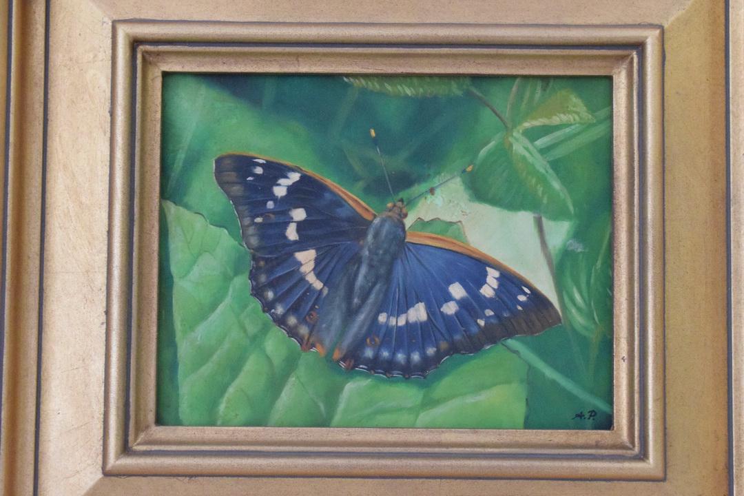 gallery photo