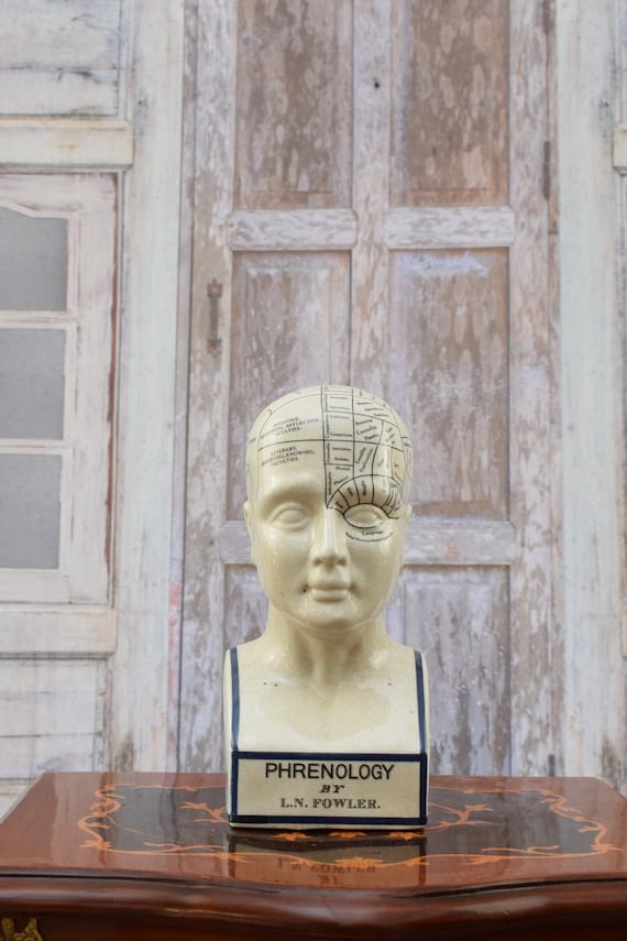 Vintage Phrenology Head: Porcelain Medicine Statue, Pharmacy Decor