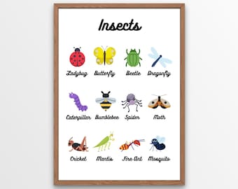 Insects Digital Printout - Nursery/Homeschooling/Montessori - ¡6 archivos JPEG!