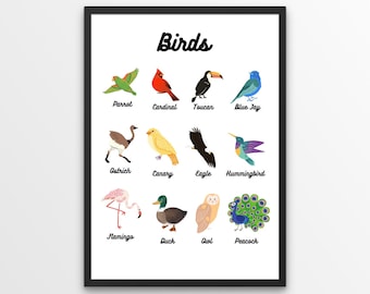 Bird Species Digital Printout - Nursery/Homeschooling/Montessori - ¡6 archivos JPEG!