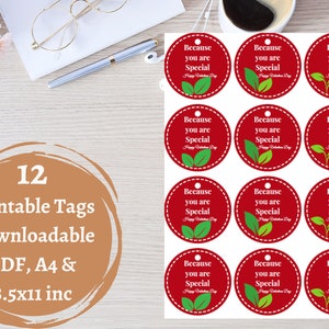 Gift Tags for someone special, Because You are Special Tags, A4, 8.5 x 11 inc, Downloadable, Printable Gift Tags, PDF, Christmas, Gift Label