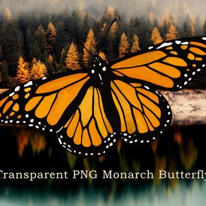 Monarch Butterfly, Monarch Butterfly PNG, Butterfly PNG Sublimation, Watercolor Monarch Butterfly PNG Graphic - Digital Download File
