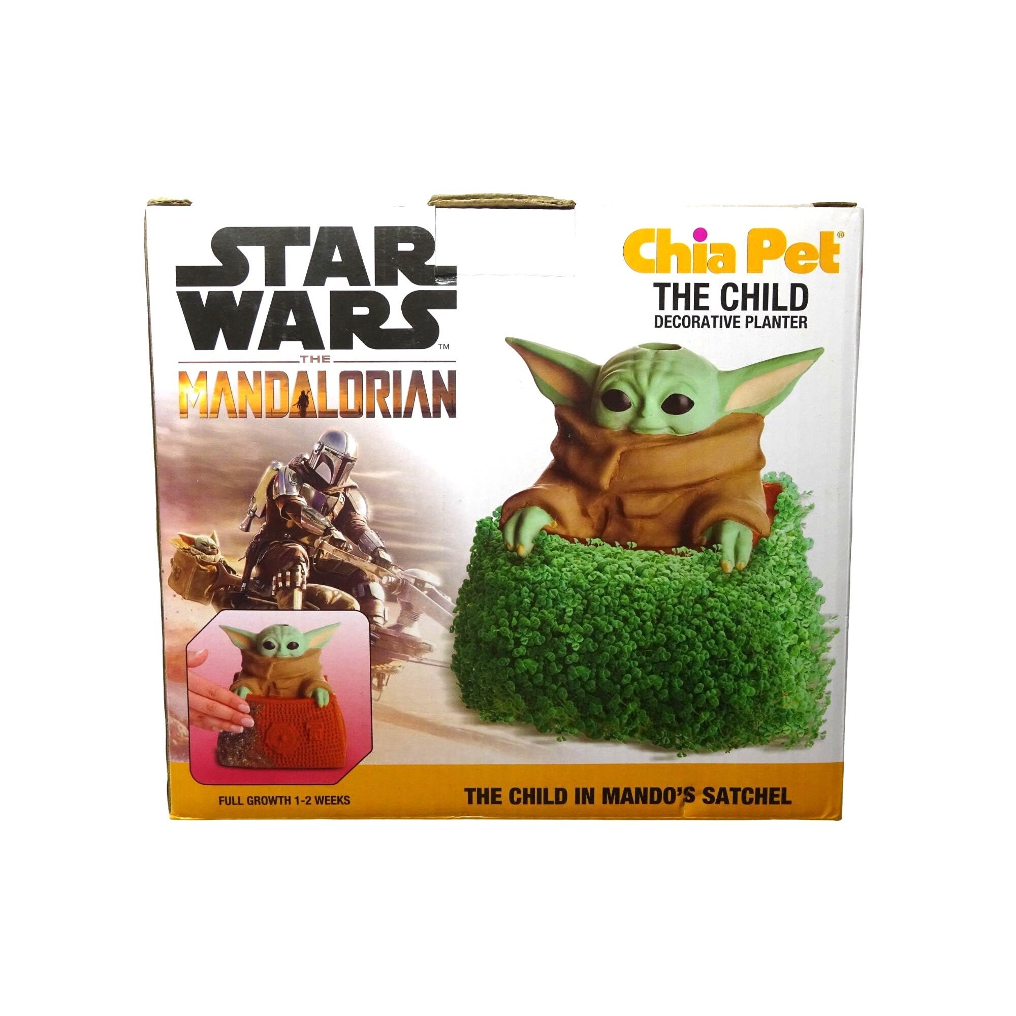 Star Wars The Mandalorian The Child Baby Yoda Chia Pet Decorative Planter -  Pots & Planters, Facebook Marketplace