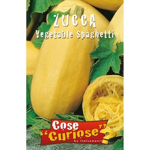 Può includere: Una zucca spaghetti gialla con il testo "Zucca Vegetable Spaghetti" e "Cose 'Curiose' by Italsemenit" sulla confezione.