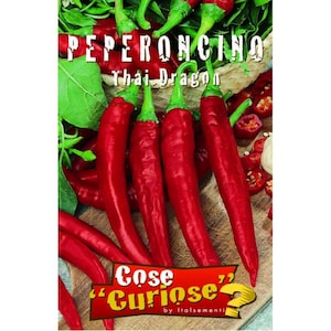 Thai Dragon Pepper Seeds 1gr