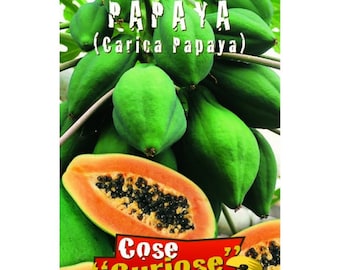 Op de afbeelding: Een close-up van rijpe groene papaja-vruchten, waarvan één papaja is opengesneden om het oranje vruchtvlees en de zwarte zaden te laten zien. De tekst "PAPAYA (Carica Papaya)" is op de afbeelding gedrukt. De afbeelding bevat ook de tekst "Cose "Curios" by Italsemenit."