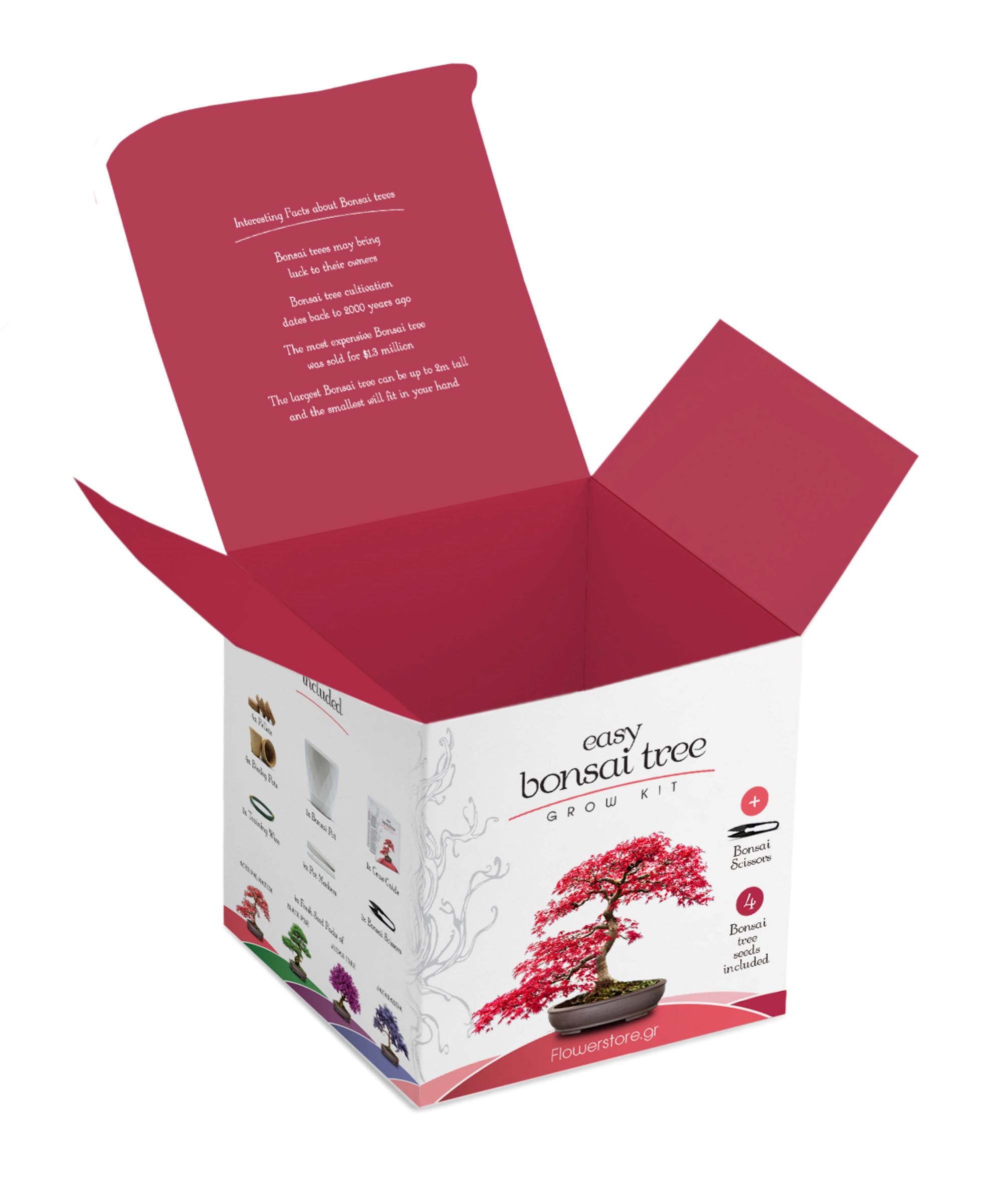 Easy Bonsai Grow Kit Cultivo de bonsáis sin esfuerzo 4 impresionantes