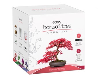 Zestaw do łatwej uprawy Bonsai - Uprawa Bonsai bez wysiłku: 4 wspaniałe odmiany drzewek Bonsai