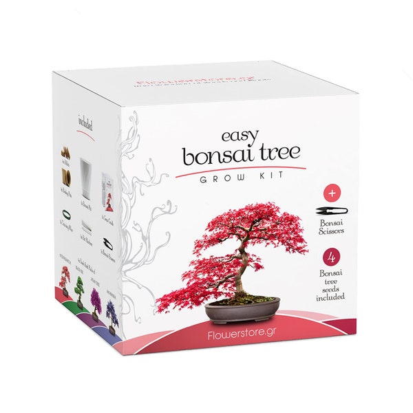 Easy Bonsai Grow Kit  - Effortless Bonsai Growing: 4 Stunning Bonsai Tree Varieties