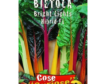 Bietola - Semi Bright Lights F1 - 1gr