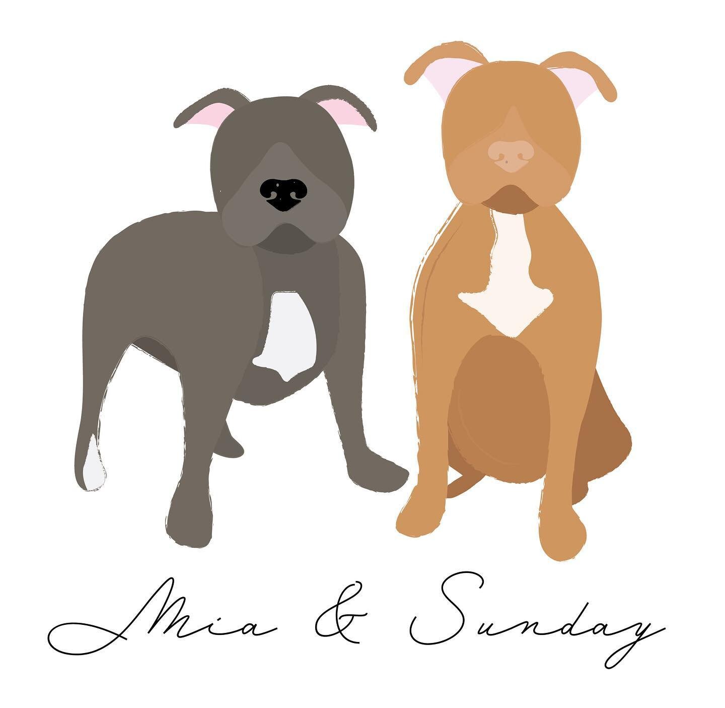 Digital Pet Portrait Etsy