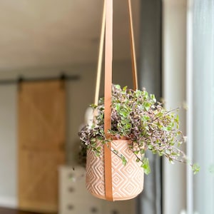 May include: A hanging planter with a light brown leather strap, holding a small terracotta pot with a geometric pattern. The pot is filled with a green leafy plant.