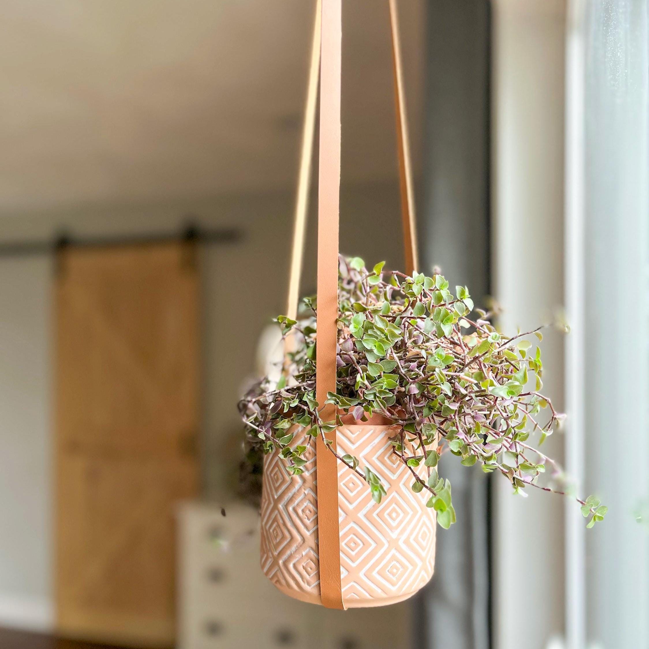 Leather Plant Hanger  For Small to Medium Size Plant Pots  USA Handmade