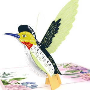Pop Up Card 3D Hummingbird in the Garden Birthday Gift Card Folding Card 15 x 20 cm