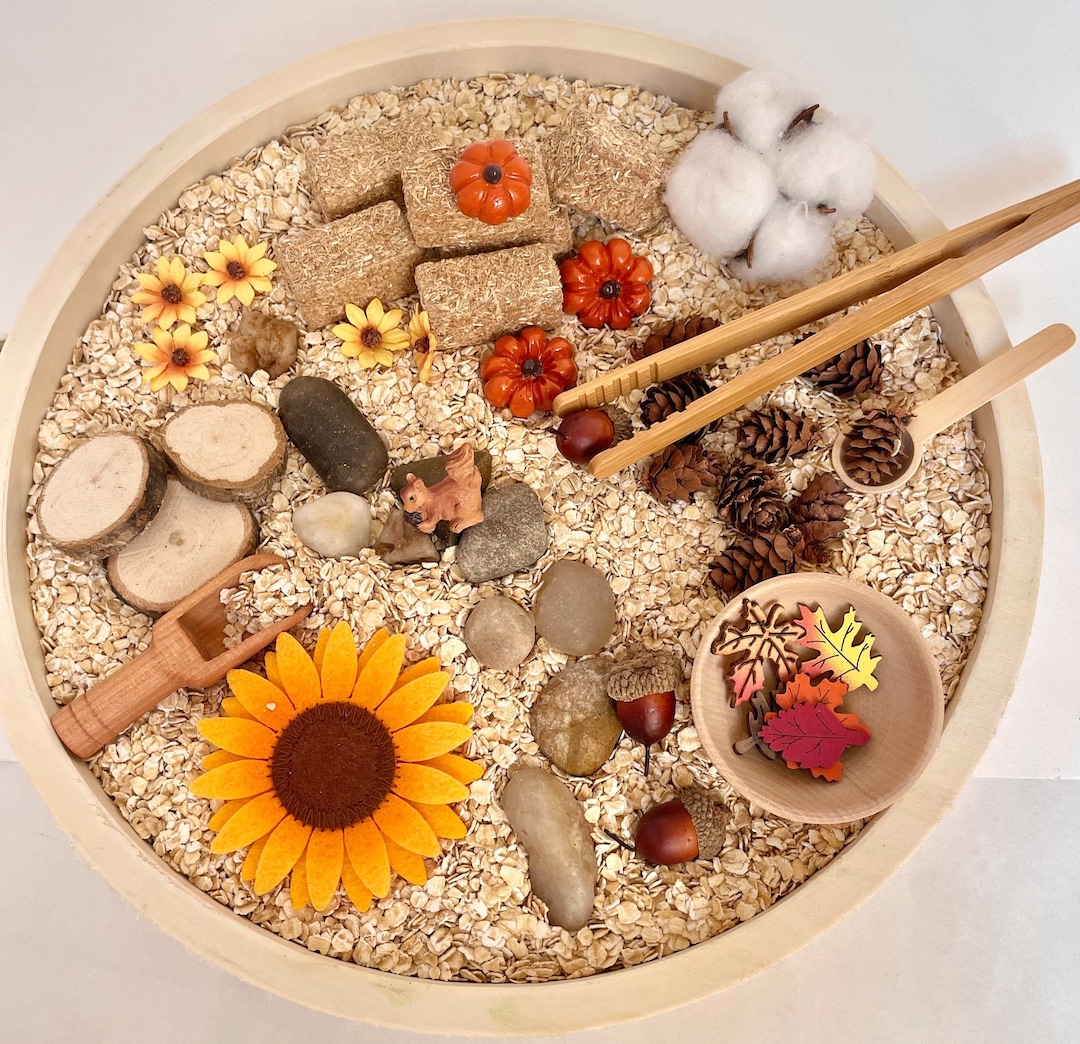 MINI Autumn Harvest Montessori Natural Sensory Bin for Toddlers - Etsy