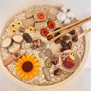 MINI Autumn Harvest Montessori Natural Sensory Bin for Toddlers