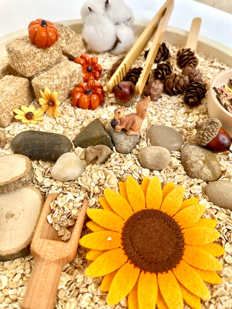 MINI Autumn Harvest Montessori Natural Sensory Bin for Toddlers - Etsy