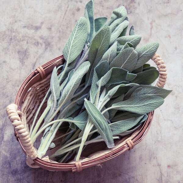Dried Sage Flowers Etsy