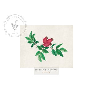 Rosehip Print | Printable Art | Wall Decor | Art Print
