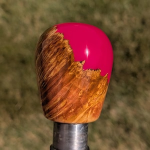 May include: A gear shift knob featuring a combination of natural brown burl wood with a complex, swirling grain pattern and a smooth, solid hot pink resin section that covers the upper portion of the rounded, cylindrical object.