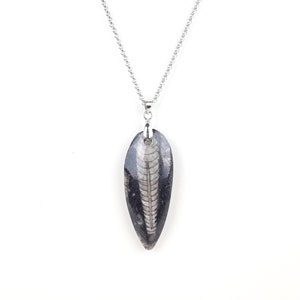 May include: A silver chain necklace with a pendant featuring a fossilized trilobite in a black and white leaf-shaped setting.