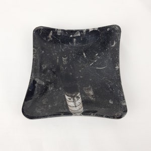 Protection dish for your jewelry and minerals in Orthoceras