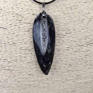 Protective pendant in fossilized Orthoceras, on adjustable black leather cord