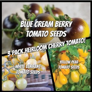 3 Pack Heirloom Cherry Tomato Seeds