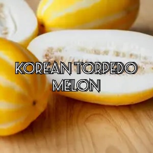 Korean Torpedo Melon Seeds