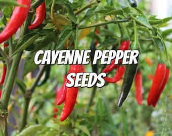 Cayenne Pepper Seeds