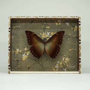 May include: A framed butterfly specimen. The butterfly has brown and tan wings, set against a muted green fabric with floral accents. The frame has a gold and cream decorative border.