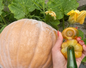 pumkin style glass pipe