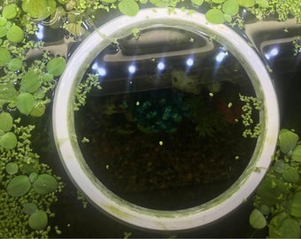 Floating Aquarium Ring - Etsy