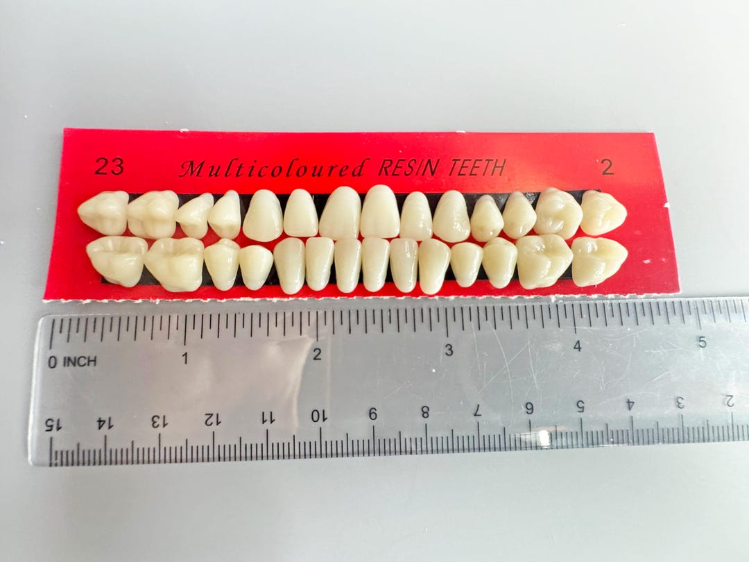 Tooth Retuch Set of Resin Teeth for Crafting - Etsy