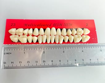 Set di denti in resina per lavori artigianali