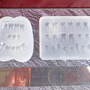 May include: Two clear silicone molds with tooth designs. One mold is oval-shaped with a row of teeth and a set of roots. The other is rectangular with various tooth shapes. A ruler is at the bottom.
