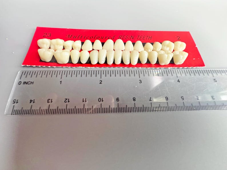 Tooth Retuch Set of Resin Teeth for Crafting - Etsy