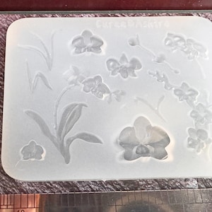 May include: A clear, rectangular silicone mold featuring detailed orchid flower designs. The mold includes various orchid blooms, buds, leaves, and stems, perfect for crafting. The text "CARSA MINERVA" is visible on the top.