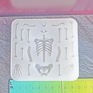 May include: A translucent silicone mould featuring a collection of human skeletal parts, including a rib cage, spine, pelvis, and various long bones. A green plastic ruler is positioned at the bottom, showing the mould width is approximately 19 cm.