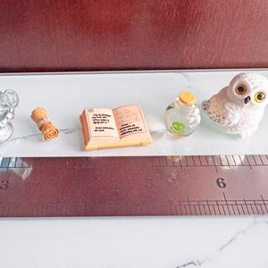 May include: Miniature fantasy-themed figurines including a potion bottle, scroll, open book, glass jar with a green creature, and a white owl. The open book has text on the pages. A ruler is in the foreground.