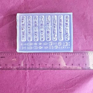 Könnte beinhalten: Eine transparente Silikonform mit verschiedenen Designs zum Thema Haustiere, darunter Katzen, Hunde, Fischknochen und Pfotenabdrücke. Die rechteckige Form hat mehrere Hohlräume zur Herstellung kleiner Dekorationsartikel. Ein Lineal liegt daneben.